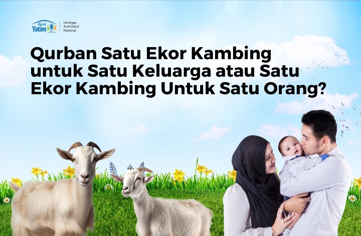 image-news