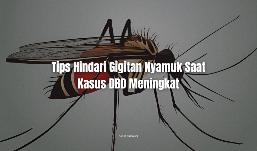 image-news