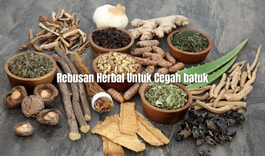 image-news